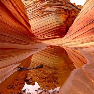 Meet your Posher, Connor